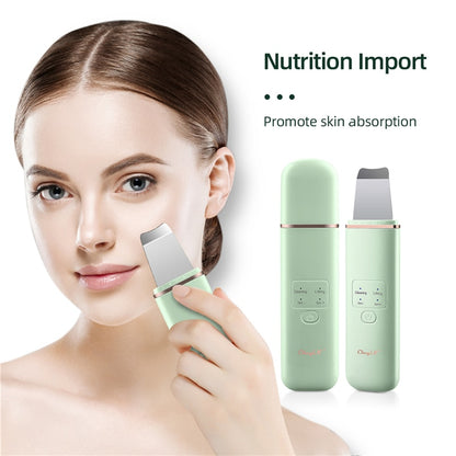 Light Therapy Beauty Machine Facial Massager