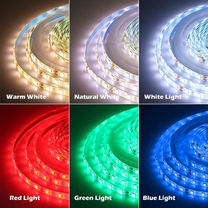 New Arrivals LED Strip 20ft Single Color Waterproof
